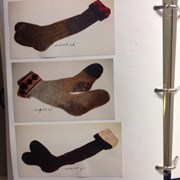 Cover image of  Socks